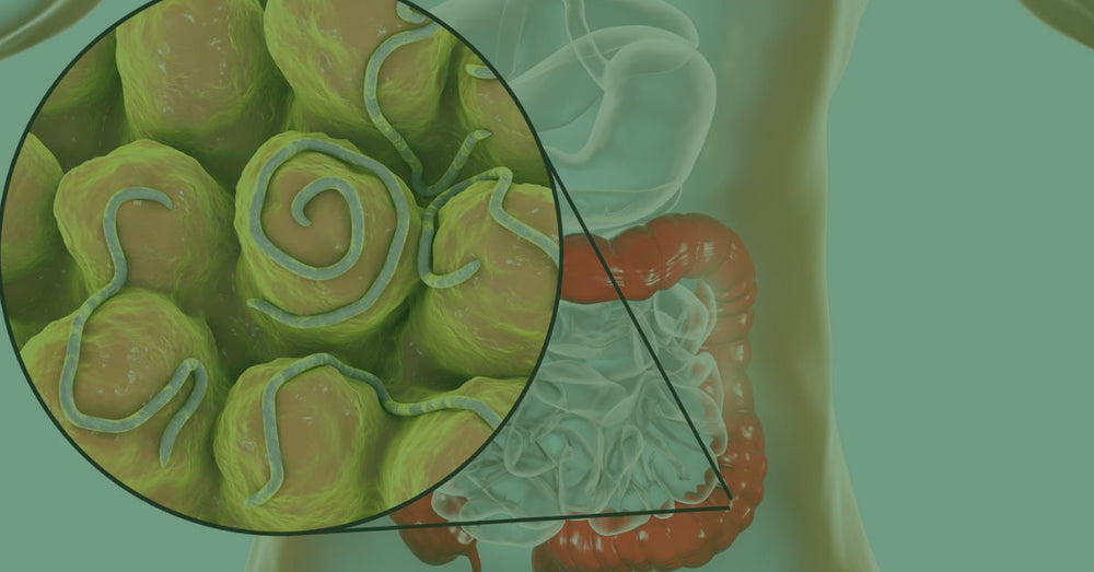 2024 Reese's Pinworm Medicine Recap