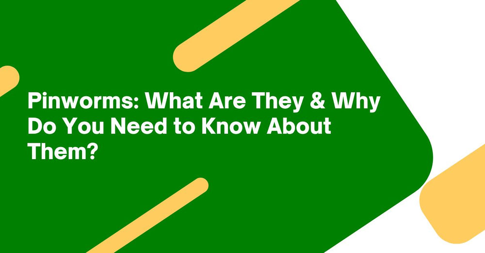 Pinworms: What Are They & Why Do You Need to Know About Them?