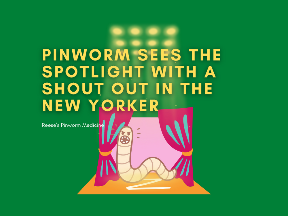 Pinworm Sees the Spotlight with a Shout Out in The New Yorker
