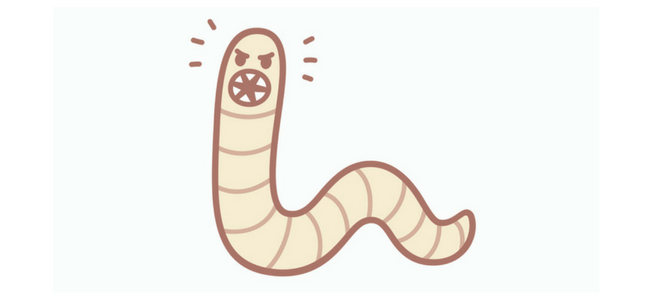 What are pinworms?