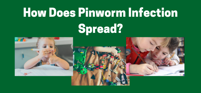 How Does Pinworm Infection Spread?